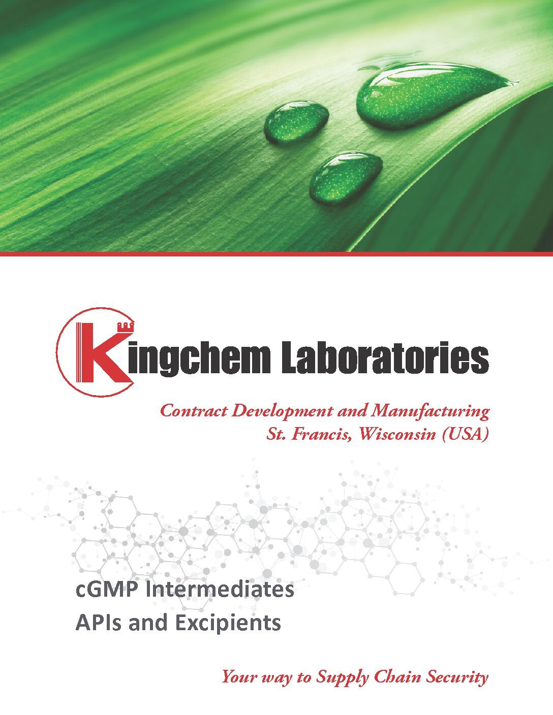 cGMP Intermediates, APIs, and Excipients